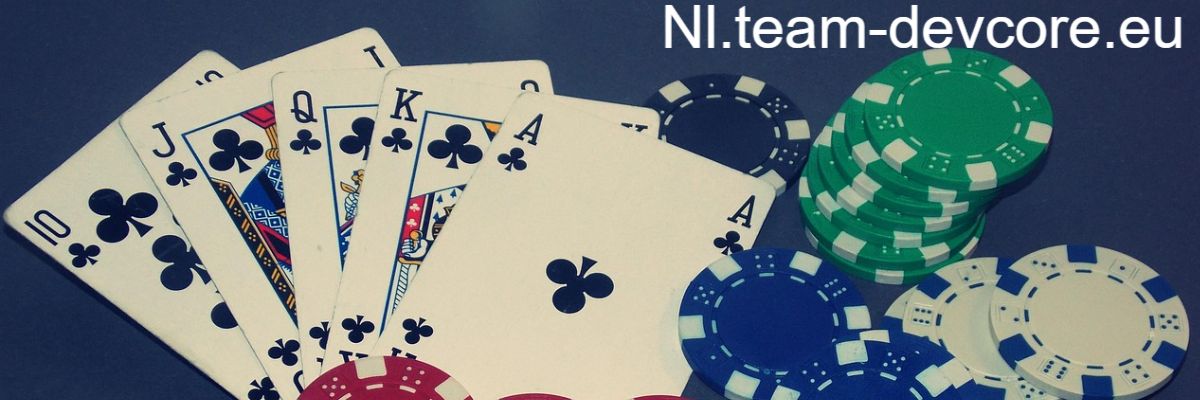 nl.team-devcore.eu